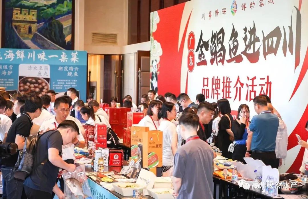 图片6.jpg