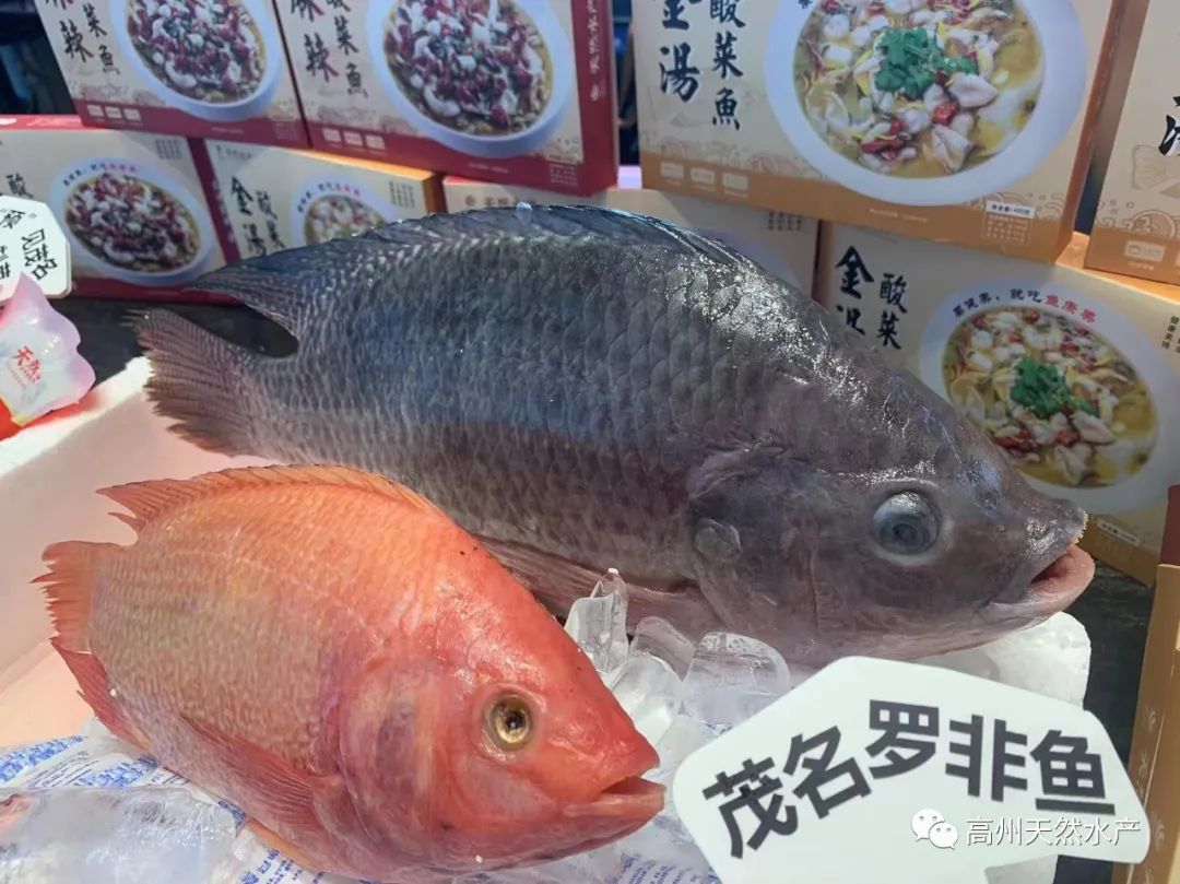 图片8.jpg
